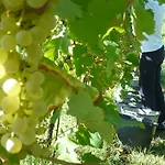 Vigneto Vecio Çiftlik konaklama