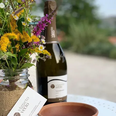 Vigneto Vecio Alojamento de Turismo Rural Valdobbiadene