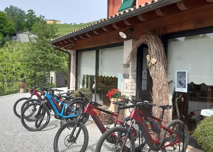 Vigneto Vecio *