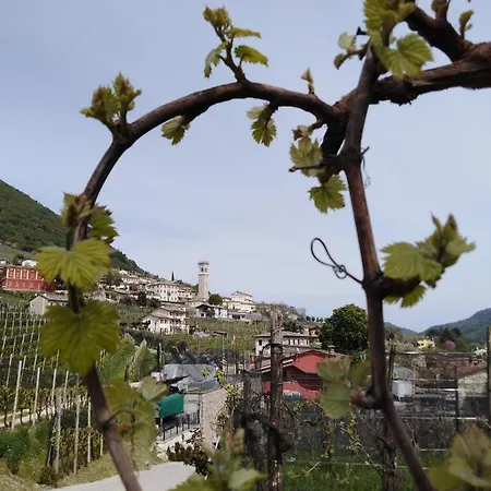 Feriegård Vigneto Vecio Valdobbiadene