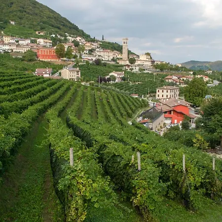 Vigneto Vecio