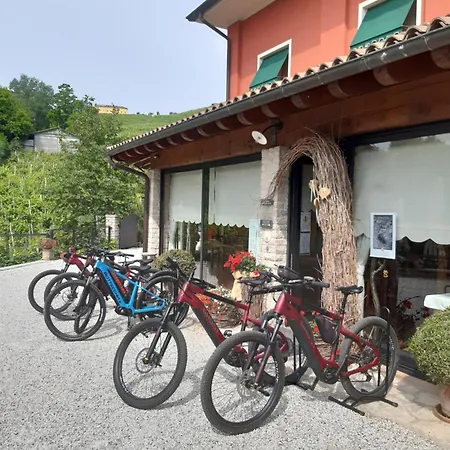 Vigneto Vecio *