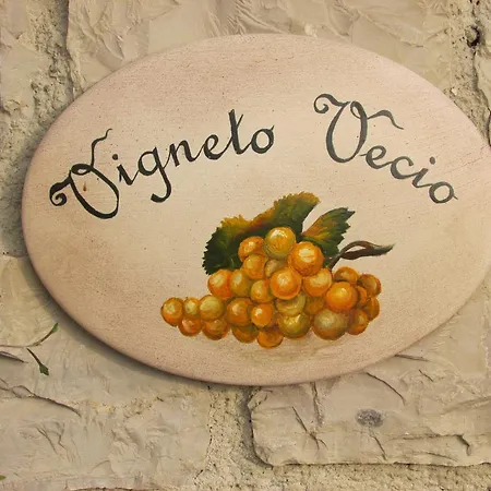 Vigneto Vecio * فالدوبياديني