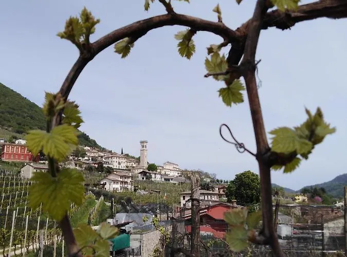 팜스테이 Vigneto Vecio 발도비아데네