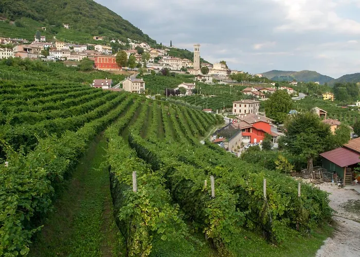 Vigneto Vecio