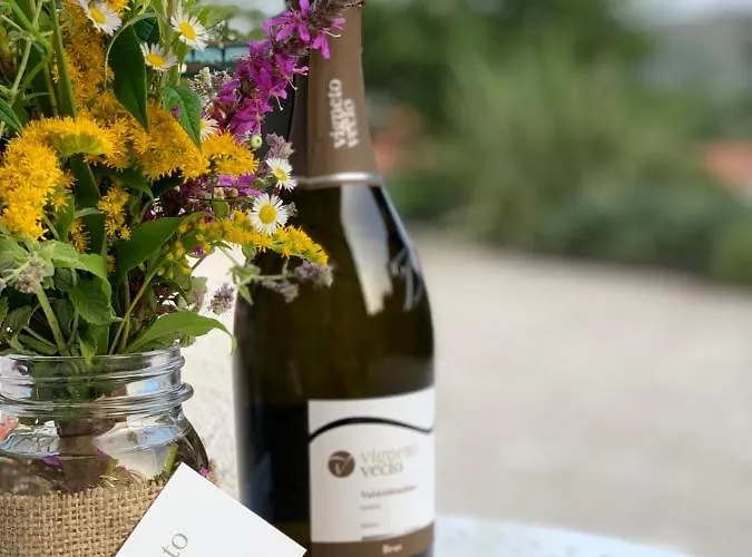 Vigneto Vecio בית חווה ולדוביאדנה