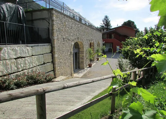 Vigneto Vecio